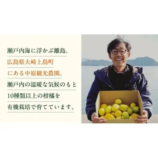 【 先行予約 】 瀬戸内 オーガニック 圓妙寺 ネーブル 9kg ( 25～35個程度 )+お試しオーガニックレモン1個 【2027年1月中旬以降発送】 