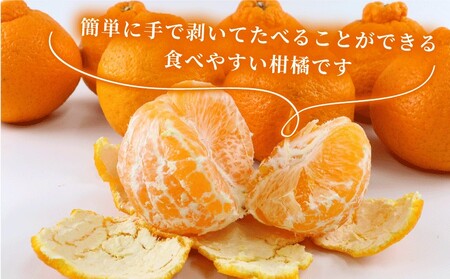 準 贈答用 不知火 5kg 矢野青果 しらぬい 高級 希少 限定 品種 ブランド 高級柑橘 甘い 果物 くだもの フルーツ 柑橘 みかん 蜜柑 愛媛蜜柑 愛媛みかん mikan 贈答 ギフト プレゼン