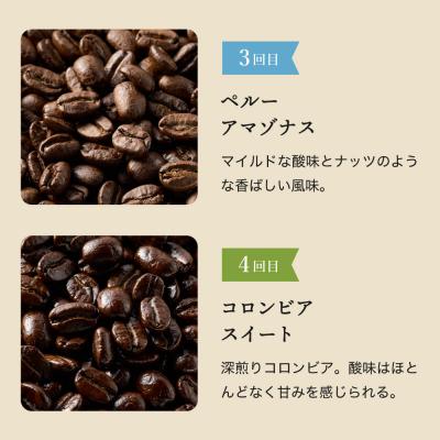 ふるさと納税 関市 【定期便】カフェ・アダチ ドリップコーヒー コーヒー豆 200g×6ヶ月 |  | 02