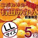 【ふるさと納税】＼農家直送／こだわりの完熟有田みかん LLサイズ約5kg 有機質肥料100%【11月上旬より順次発送】※着日指定送不可※沖縄及び離島への発送不可