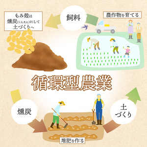 【隔月定期便】 【令和6年度産】 コシヒカリ 5kg×4回 20kg  精米 白米 お米 こしひかり お米の定期便 4回定期便