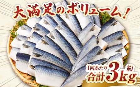 【4ヶ月定期便】【訳あり】国産 ふっくら 極み塩サバ 計約3kg ／ 1切れ 塩サバ 塩さば 塩鯖 さば サバ 鯖 魚