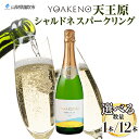 【ふるさと納税】YOAKENO 天王原 シャルドネ スパークリング 720ml 【選べる本数 1本 or 12本 】 ふるさと納税ワイン シャルドネ スパークリングワイン 酒 果実酒 ギフト プレゼント BBQ バーベキュー パーティー 熨斗 のし 名入れ不可 送料無料 山梨県 笛吹市 177-4-085