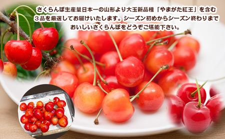 【定期便3回】数量限定！山形さくらんぼ厳選３品味めぐり【令和8年産先行予約】FS25-102