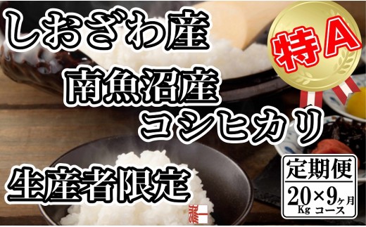 
                  【令和8年産　新米予約】【定期便：20Kg×9ヶ月】生産者限定 契約栽培 南魚沼しおざわ産コシヒカリ【定期便 銘柄米 ブランド米 精米 こしひかり コシヒカリ 魚沼産 新潟米 産地直送 お米 米】【2026年10月上旬から1ヶ月以内に順次発送予定】
                