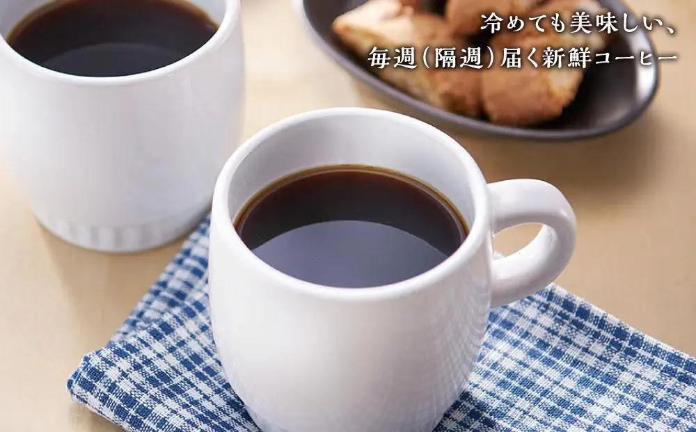 【定期便 全3回】【豆】屋久島の水で磨き、機械を使わずに焙煎するコーヒー豆 | コーヒー豆