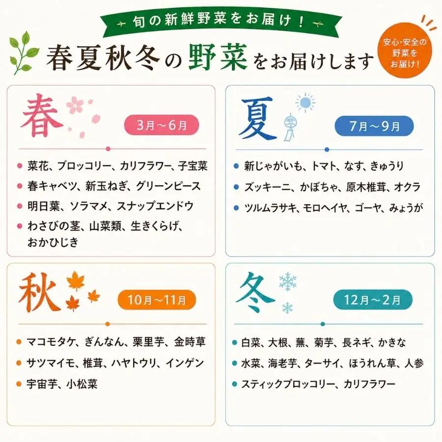 旬の野菜セット 1年間の定期便　　【 朝どれ 野菜 やさい 新鮮 】