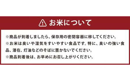 熊本県菊池産 ヒノヒカリ 5kg×4袋 計20kg 5分づき米 お米 分づき米 令和5年産