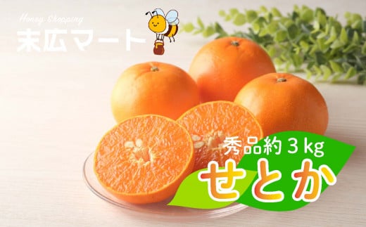 【2026年3月上旬ごろから発送予定】せとか 約 3kg (9~13玉) | 3月発送 柑橘 蜜柑 みかん ミカン  秀品 愛媛 松山市 柑橘 高級 糖度