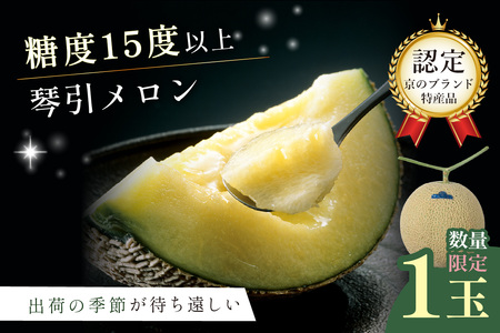 メロン 【先行予約】京のブランド産品 京たんごメロン 琴引メロン 1玉 ﾒﾛﾝ ﾒﾛﾝ ﾒﾛﾝ ﾒﾛﾝ ﾒﾛﾝ