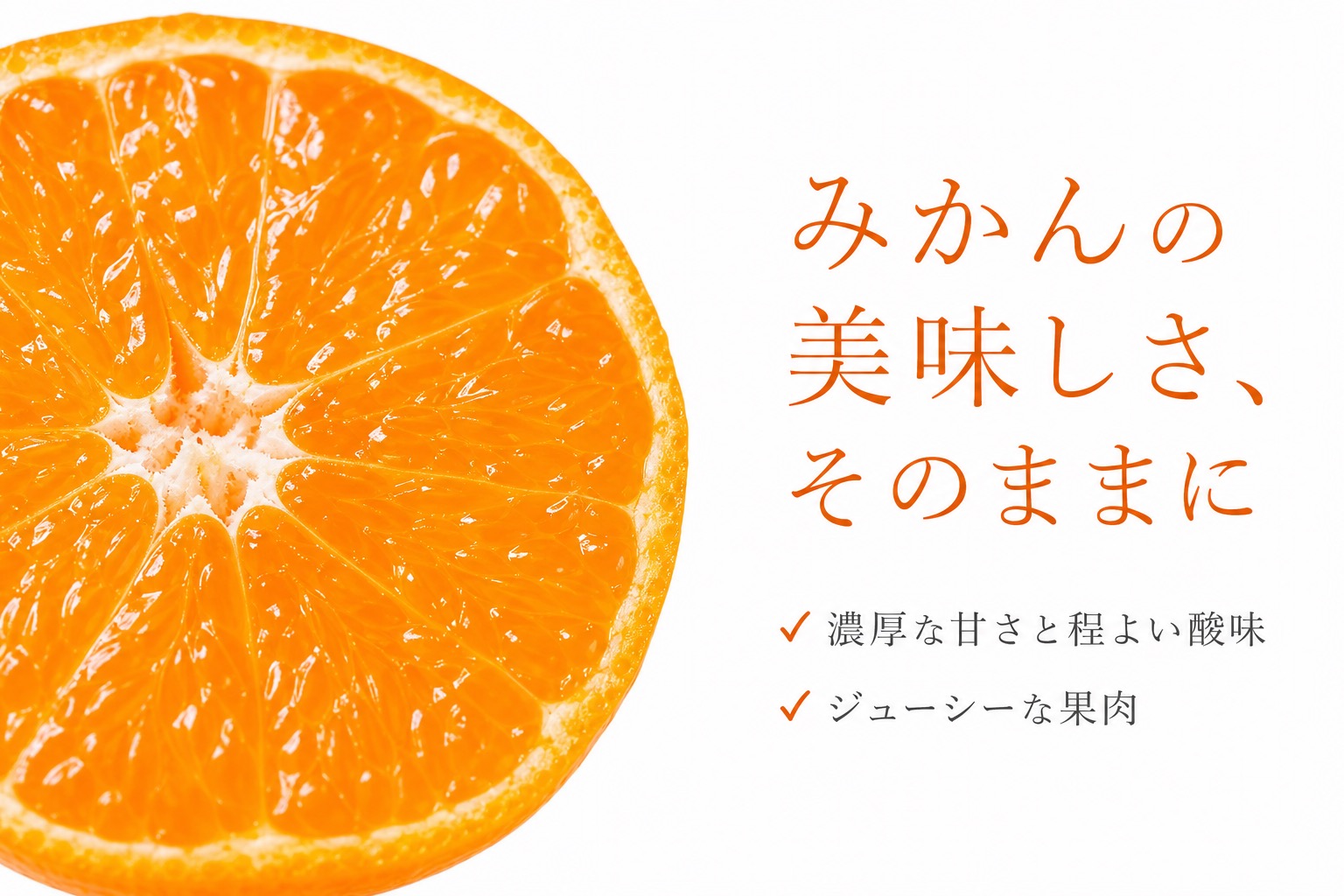 和歌山有田みかん10kg【訳ありご家庭用】2S〜2Lサイズ混合 / みかん くだもの フルーツ 【uot871】