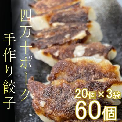 ふるさと納税 室戸市 ヤマジュウの特選!四万十ポーク手作り餃子60個
