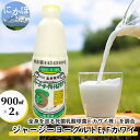 【ふるさと納税】ジャージー ヨーグルト（E・Fカワイ）900ml×2本（飲む ヨーグルト）　【 乳飲料 8000円 乳酸菌 ドリンク ジャージー牛乳 乳製品 】