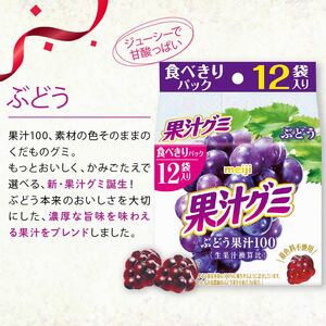 明治 果汁グミ スマートパック ぶどう 163ｇ ×  5個 | グミ
