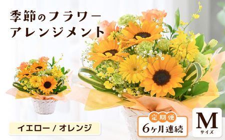 定期便 ≪6ヶ月連続お届け≫ 季節のフラワーアレンジメント M (イエロー・オレンジ) 花束 生花 プレゼント [G-20703_02]