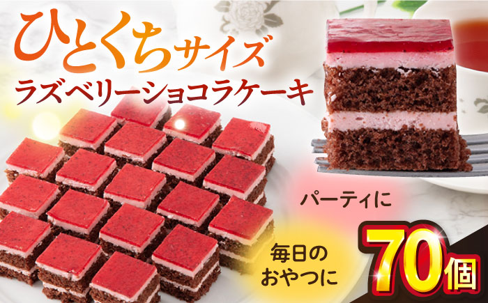 ラズベリーショコラケーキ  【ファミール製菓株式会社】 [AKCI007]
