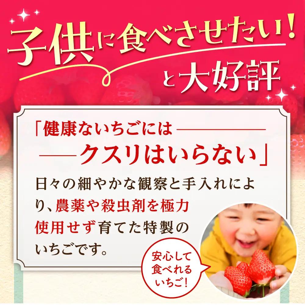 【先行予約】【1?2月発送】王様のいちご いちごさん400g×2箱 HAF009 果物 フルーツ