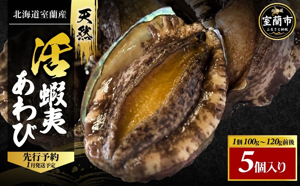 
            北海道室蘭産 天然活蝦夷あわび 5個入（1個100g～120g前後）（2026年1月中旬頃から順次発送予定） 【 ふるさと納税 人気 おすすめ ランキング ホタテ あわび アワビ 鮑 蝦夷あわび 蝦夷アワビ 海鮮 新鮮 北海道産 北海道 室蘭市 送料無料 】 MROH006
          