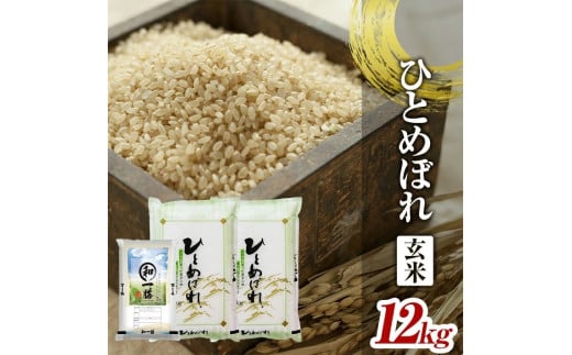 令和7年産【玄米】ひとめぼれ　12kg(5kg×2袋+2kg×1袋) YA SE0456