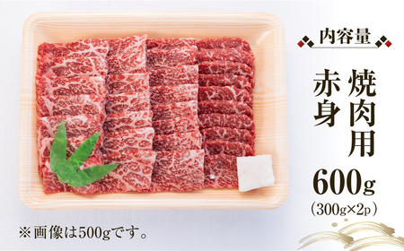 飛騨牛 赤身 焼肉用 600g (300g×2）牛肉 国産 焼き肉 A4等級以上 A4 A5 等級 高山米穀 岐阜県 白川村 白川郷 贅沢 冷凍 30000円 [S551]