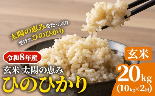 【令和8年産 予約受付】 岡山県産 ひのひかり 笠岡産 10kg×2回（計20kg） 太陽の恵み （玄米） st-p