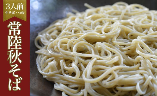 茹でるだけ！ツルッとなめらかな喉越し！生そば３人前・つゆ付き≪生そば 手打ち 無添加≫ ※離島不可（北海道、沖縄本島は配送可能） | そば ソバ 蕎麦 生麺 常陸そば 常陸秋そば 石臼製粉  取り寄せ お取り寄せ ギフト 贈答 贈り物 プレゼント 茨城県 古河市 直送 農家直送 産地直送 送料無料  _BI11