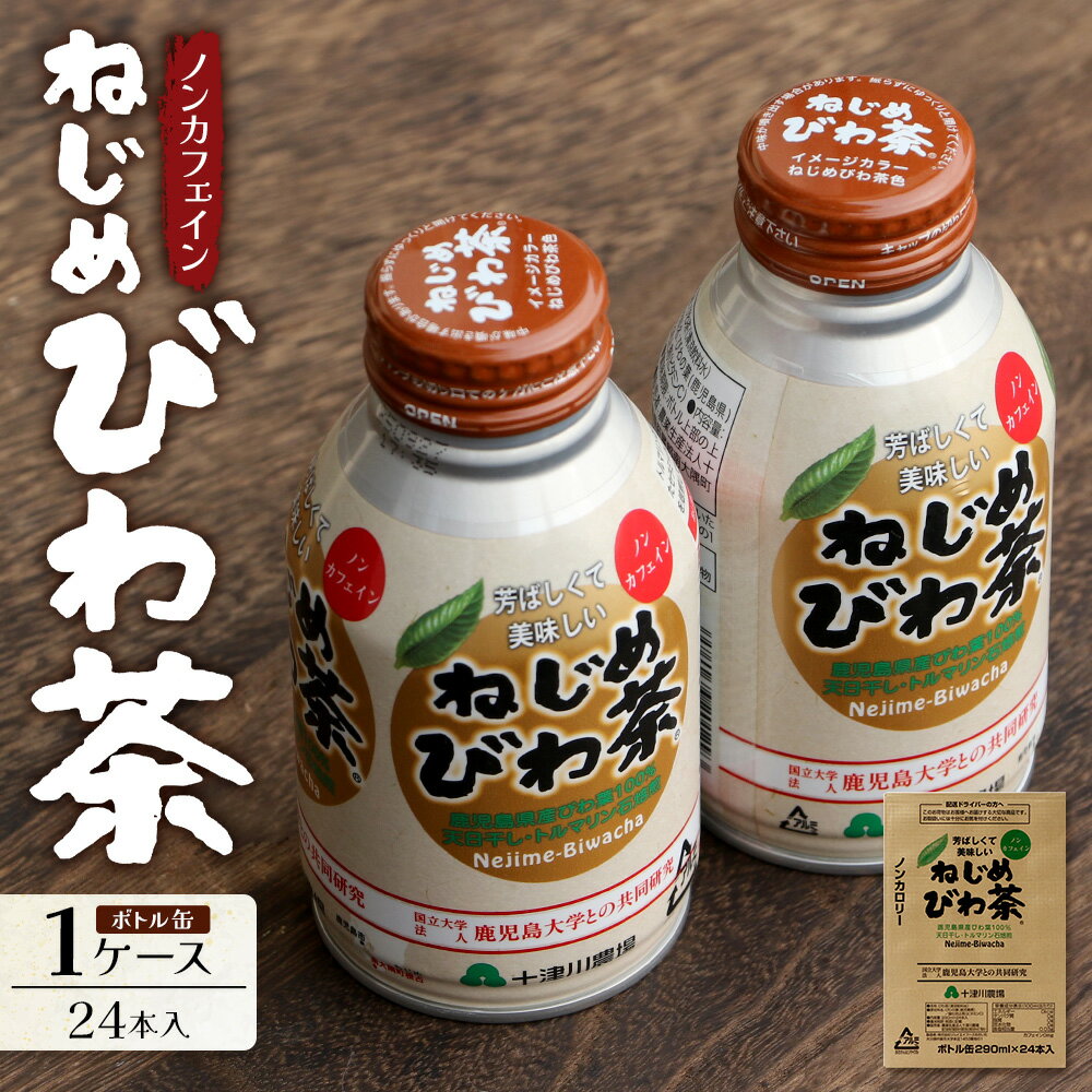 【ふるさと納税】『ねじめびわ茶』ボトル缶（ 290ml × 24 本入り ）【 1 〜 3 ケース 定期便 】
