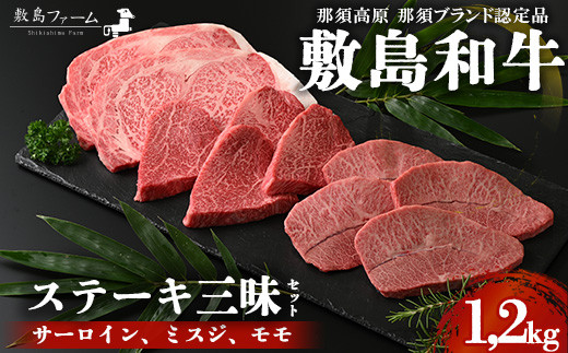 
                  那須高原 敷島和牛 ステーキ三昧セット 計1.2kg 国産 黒毛和牛 和牛 牛肉 お肉 肉 ステーキ サーロインステーキ ギフト お祝い 冷凍 栃木県 那須町《敷島ファーム》〔P-169〕
※着日指定不可
※離島への配送不可
                