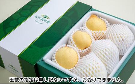 梨 2024年 先行予約 鴨梨（ヤーリー）5～7玉 約3kg 贈答箱 ナシ なし 岡山県産 国産 フルーツ 果物 ギフト 石原果樹園 [No.5220-0571]