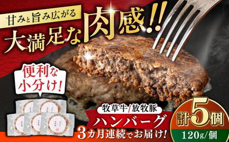 【全3回定期便】　【牧草牛×放牧豚】ハンバーグ 5個 【GOODGOOD株式会社】 ハンバーグ 牛肉 豚肉 小分け 冷凍配送 北海道 [AXBP027]