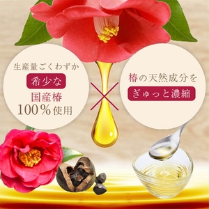 【A62002】鹿児島県肝付町産椿オイル(120cc×2本) 鹿児島 国産 椿油 つばき油 ツバキオイル ヘアオイル ネイルオイル 天然 国産 食用油 調味料 天ぷら ギフト プレゼント お中元 お歳