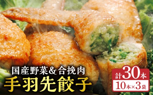 手羽先餃子30本入り_M025-001-03