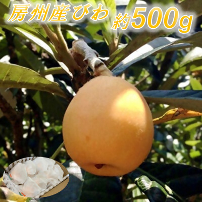 
            安全安心な「房州産びわ」 約500g【1486432】
          