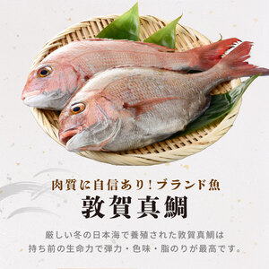 ＜数量限定＞ 港町つるがの潮風感じる 創作 海鮮丼の素 敦賀真鯛 × Sio昆布ワサビ 5食セット【海鮮丼 丼 どんぶり タイ 鯛 ご飯にのせるだけ お酒の肴 お茶漬け アレンジ簡単 化粧箱 贈答 プ