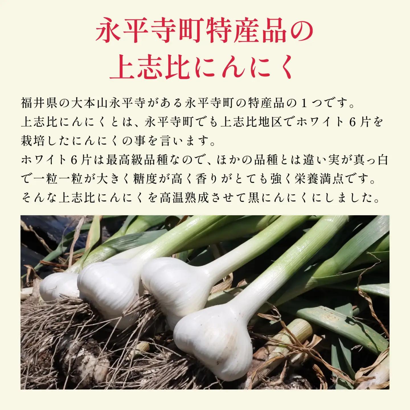 永平寺町産 黒にんにく 6個（3個入り×2パック）ニンニク ホワイト 国産