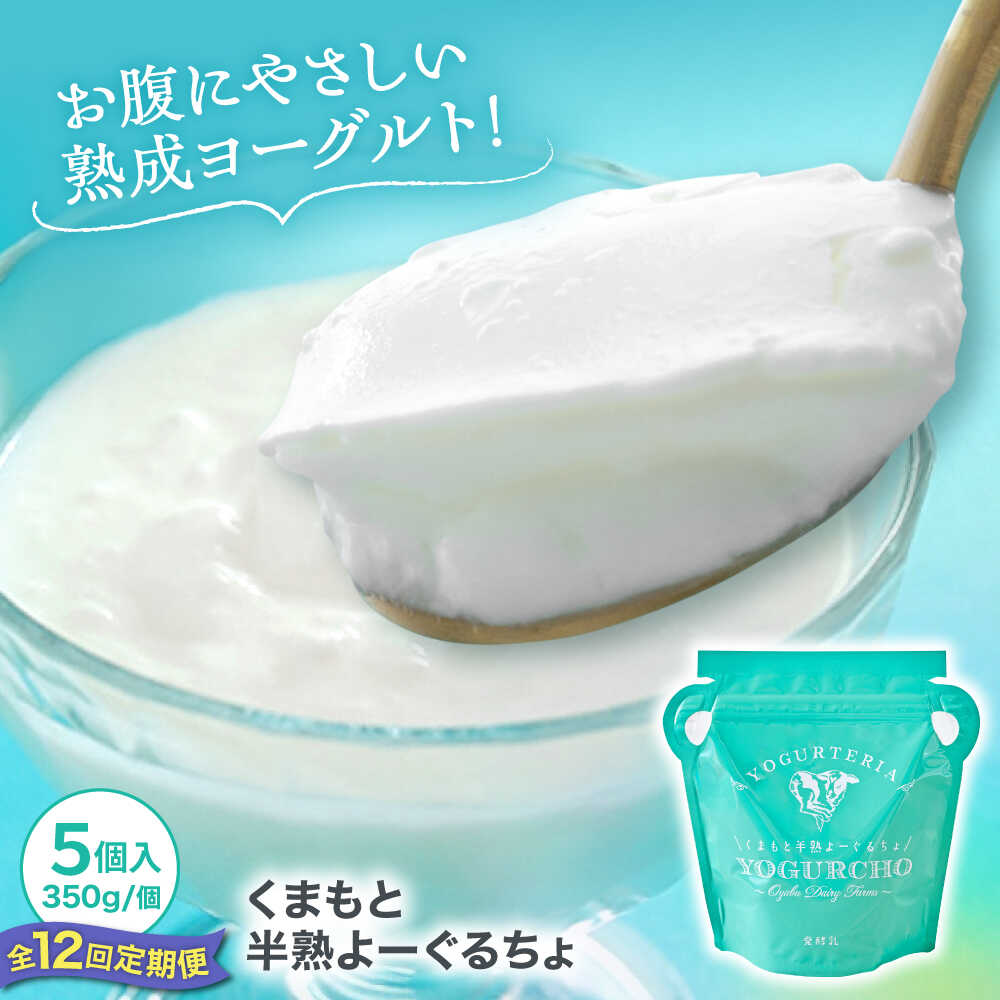 【ふるさと納税】【全12回定期便】オオヤブデイリーファーム くまもと半熟よーぐるちょ 350g×5個【株式会社 オオヤブデイリーファーム】 ヨーグルト ノンホモジナイズ ノンホモ てんさい糖 贈答 ギフト プレゼント [AYAE024]