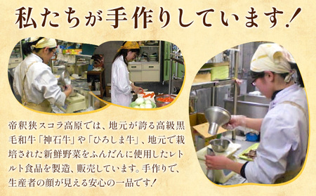 カレー レトルト 牛肉カレー 神石牛 幻の神石牛カレー たっぷり 6個セット 1個200g 株式会社 帝釈峡スコラ《30日以内に出荷予定(土日祝除く)》和牛 牛 肉 手作り スパイス 送料無料