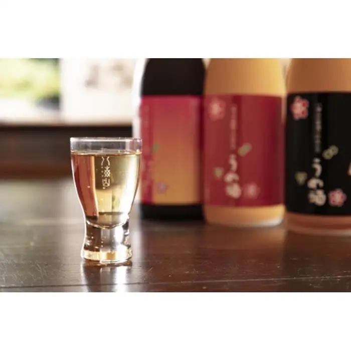 越後の名酒 八海山の梅酒一升瓶3種詰合せ（各1本） |　梅酒