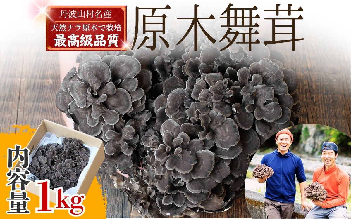 【2026年発送分先行予約】丹波山村産 原木舞茸 約1kg 2026年秋頃より順次発送予定 / 丹波山名産 希少 無農薬 無添加 舞茸 まいたけ マイタケ 原木栽培 きのこ キノコ 産地直送【tab0225-1000】