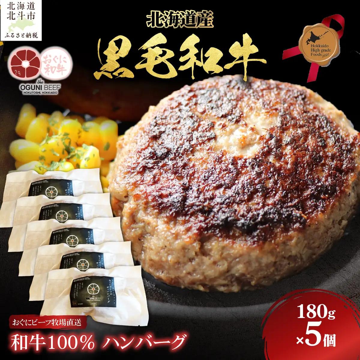 北海道産 黒毛和牛 おぐにビーフ 牧場直送  和牛100％  ハンバーグ180g×5 HOKQ006 | ハンバーグ