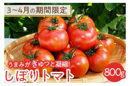 3～4月の期間限定　うまみがぎゅっと凝縮！しぼりトマト 800g ※着日指定不可 《2027年3月上旬-4月末頃出荷予定》