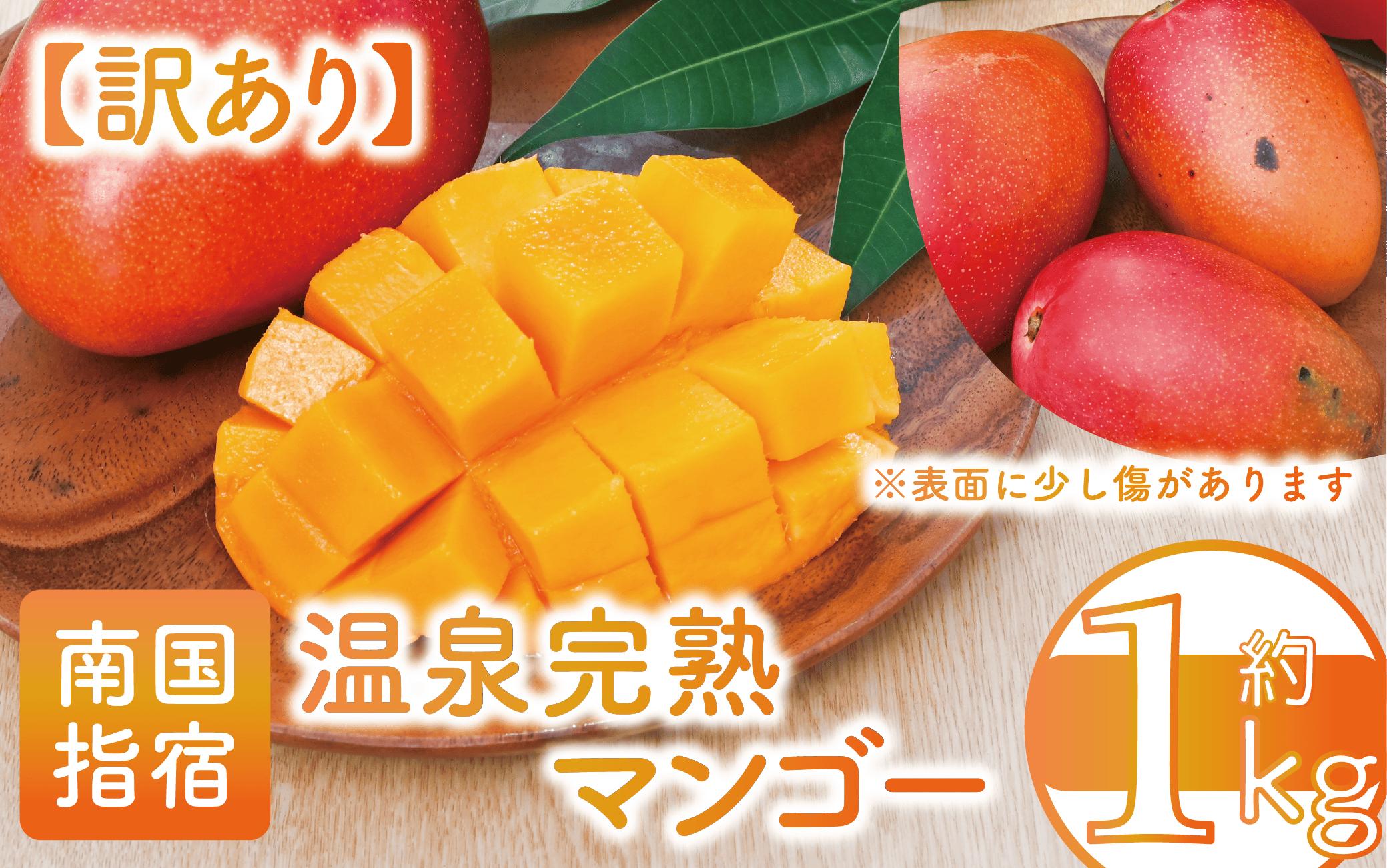 
            【2026年 発送】＜訳あり＞地下から湧き出る温泉と蒸気熱を利用栽培した温泉完熟マンゴー約1kg(トロピカルファームいぶすき/016-1764) マンゴー フルーツ 果物 くだもの 旬 夏 指宿 いぶすき 鹿児島
          