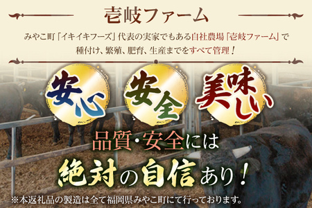 九州産黒毛和牛100％ 手ごねハンバーグ 6個セット 自家製ハンバーグソース付き 惣菜 晩御飯 晩ご飯 晩飯 夕飯 夜ご飯 夜食 洋風 和風 つまみ オリジナル たれ 壱岐ファーム 自社農場 ビーフ 