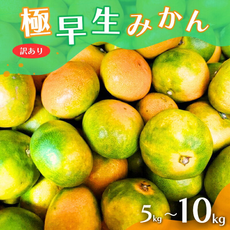 【ふるさと納税】 ＼光センサー選別／農家直送 こだわりの極早生みかん 約5kg、約7.5kg、約10kg 数量限定 / 有機質肥料100% サイズ混合 ※2025年9月下旬より順次発送予定 指定不可