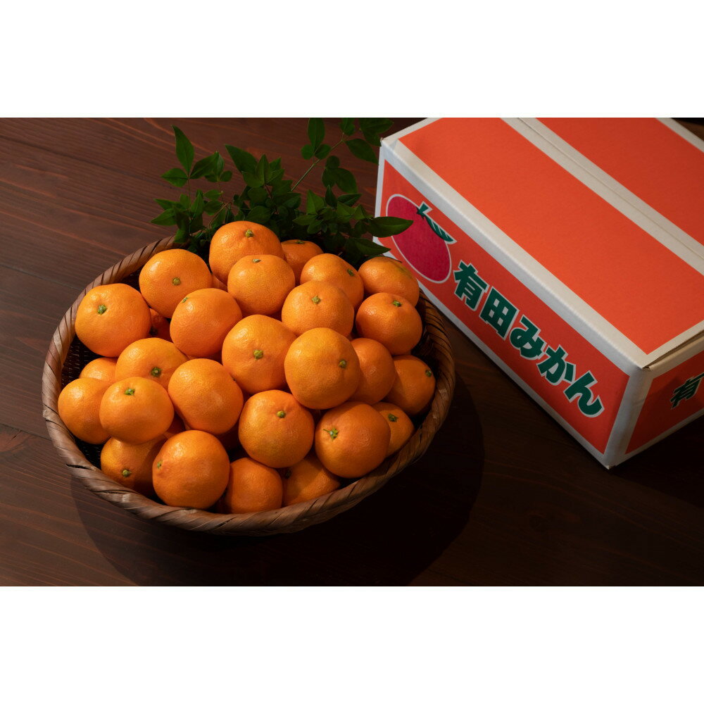 【ふるさと納税】［全2回・毎月発送］お一人様用採れたて甘い手摘み有田みかん 1.5kg（15個前後） S～Lサイズの不揃い | みかん 蜜柑 フルーツ 果物 くだもの 食品 人気 おすすめ 送料無料 産地直送