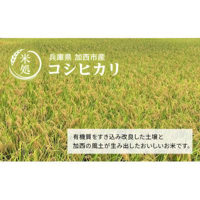 ふるさと納税 加西市 米 令和7年産 コシヒカリ 6kg (3kg×2袋) 精米 白米 お米  [No5698-1802] |  | 01