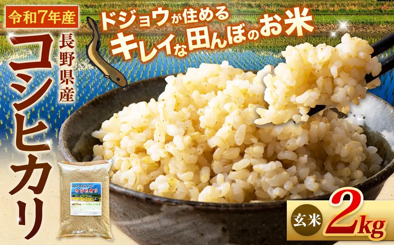 『どじょうのいる田んぼのお米』コシヒカリ 玄米 2kg | 馬場農園