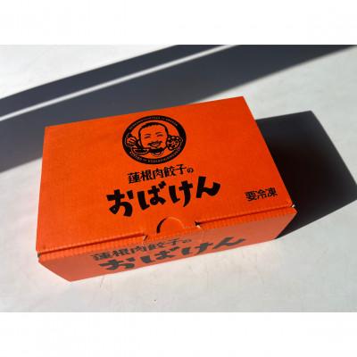 ふるさと納税 鹿嶋市 【毎月定期便】蓮根肉餃子のおばけん[40粒]全12回 |  | 01