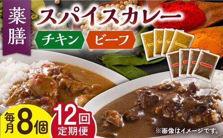 【12回定期便】薬膳スパイスカレー ファミリーセット（チキンカレー 4食 ビーフカレー 4食） /自然庵 [UCQ012] カレー レトルトカレー 鶏肉 鶏 チキン 牛肉 牛 ビーフ