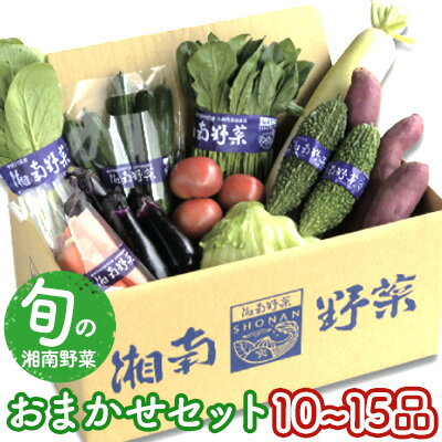 【ふるさと納税】 野菜 セット 旬 の 湘南野菜 おまかせ セット 10 ～ 15品 お任せ 詰め合わせ 野菜セット やさい やさいセット yasai きゅうり トマト なす ねぎ さといも 小松菜 白菜 玉ねぎ とまと キュウリ ヤサイ yasai 旬の野菜セット 新鮮 数量限定 神奈川 湘南 藤沢